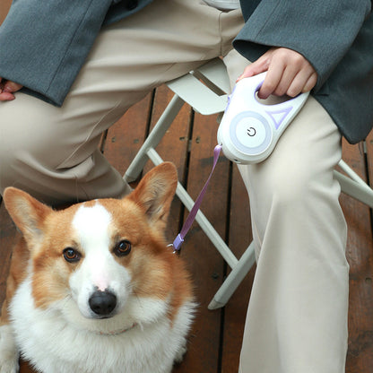 Retractable Dog Leash with Collar – Built-In Spotlight Feature