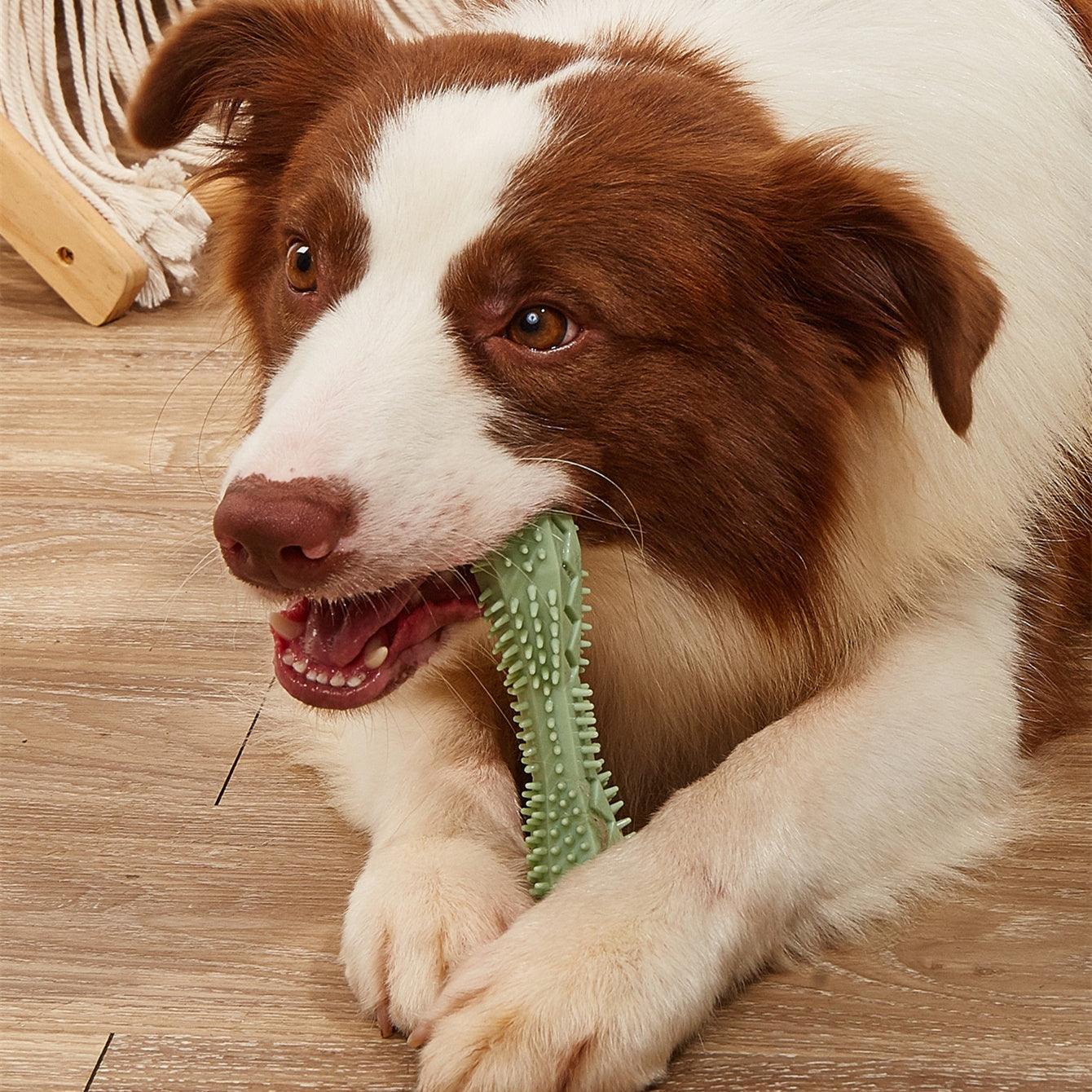 Chew Toys For Dog Teeth Cleaning - Pets GrovePets Grove