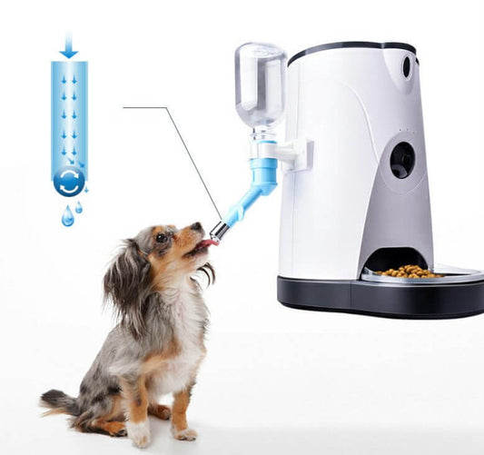 Smart Automatic Pet Feeder with HD Camera, Voice Recording, and Remote Control – 4L Capacity for Dry Food, 1080P Video Monitoring, and Real - Time Feeding for Cats and Dogs - Pets GrovePets Grove